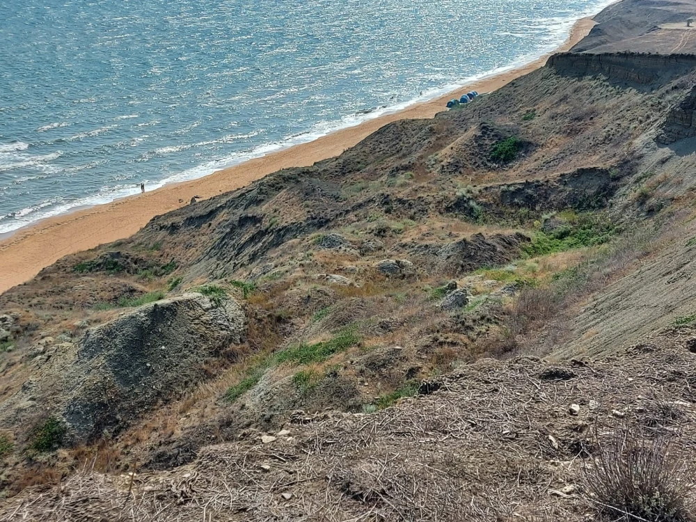 sea40
