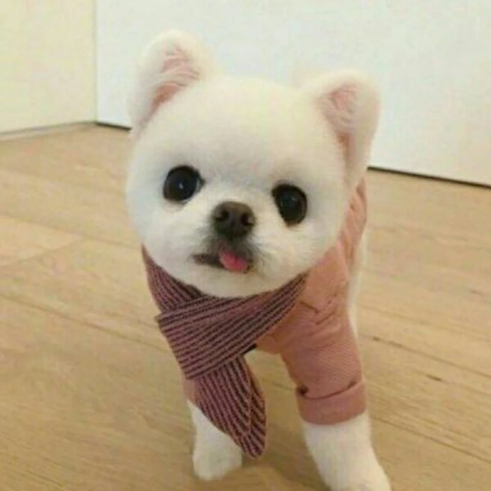 zhPatzzhzzyl328360zzfhh16zhf