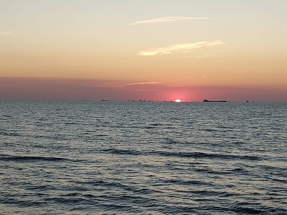 sea102