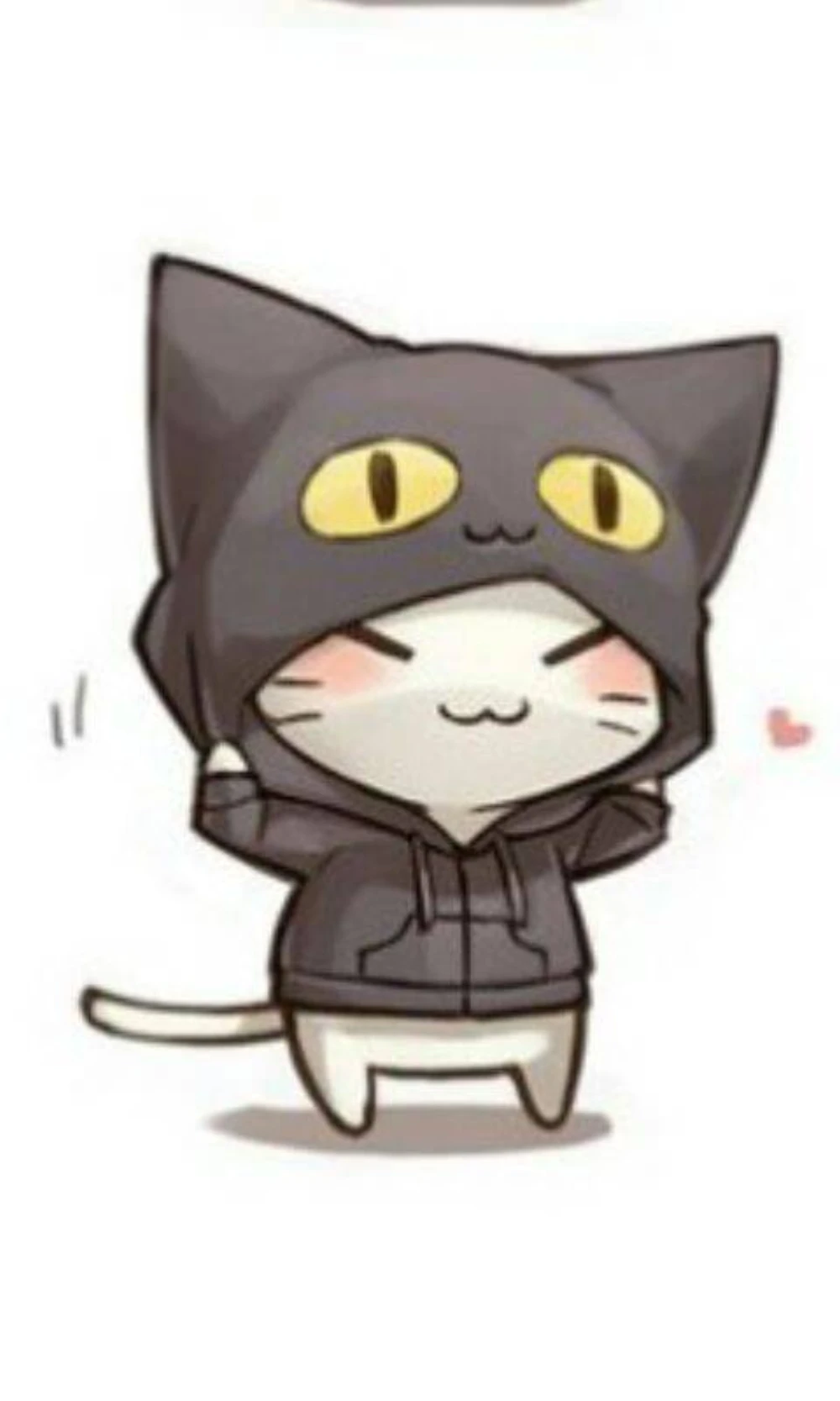 cats