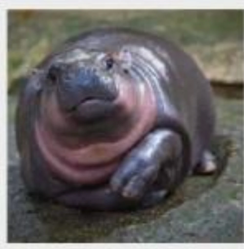 eeee