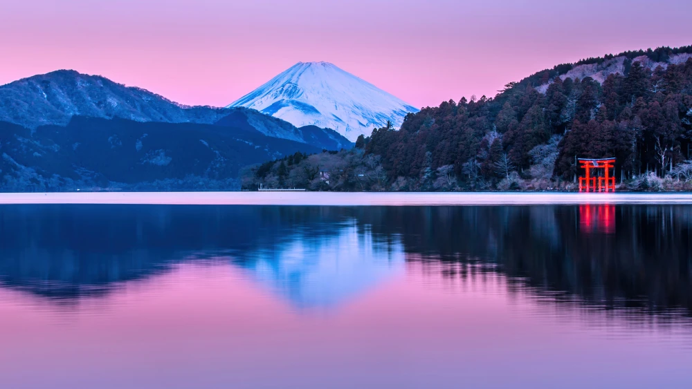 Neon Nature