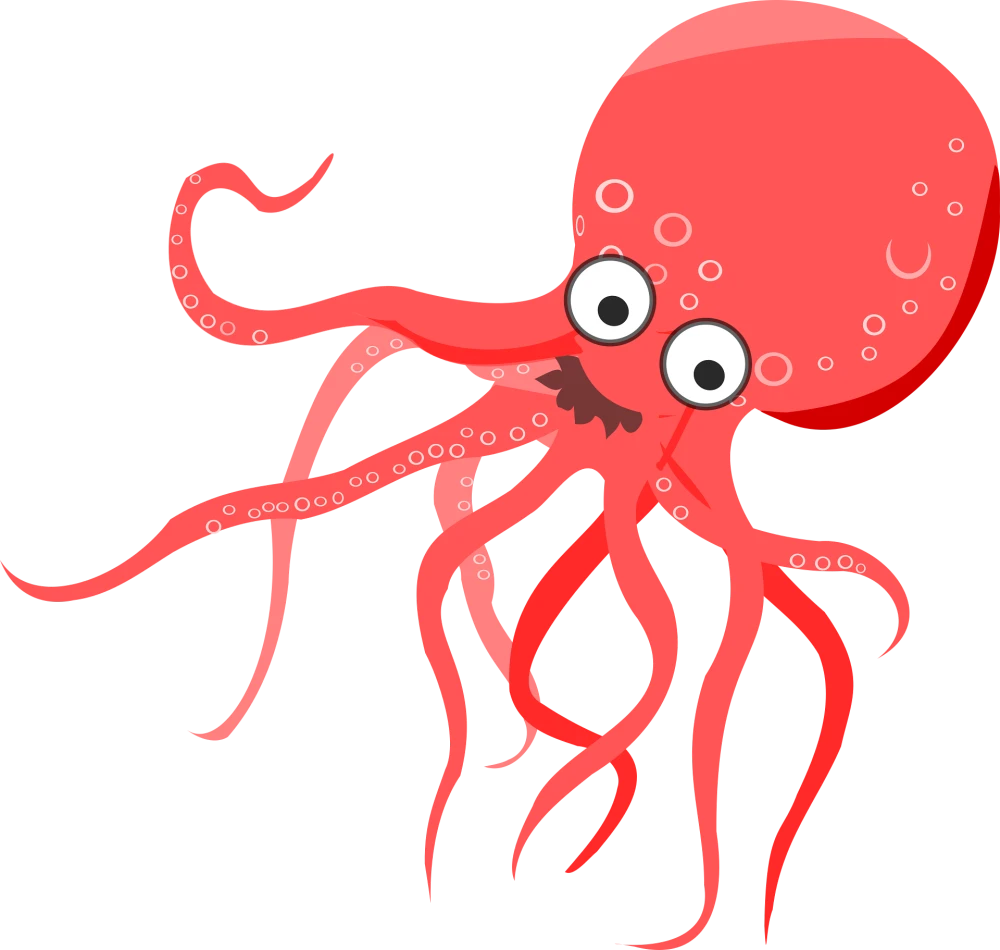 ppulpoo