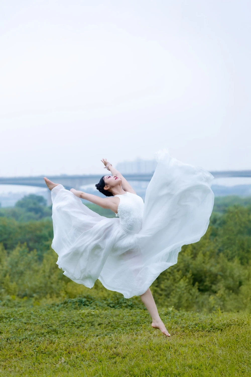 bailarinaea