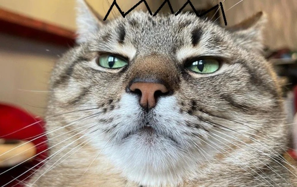 kokokl