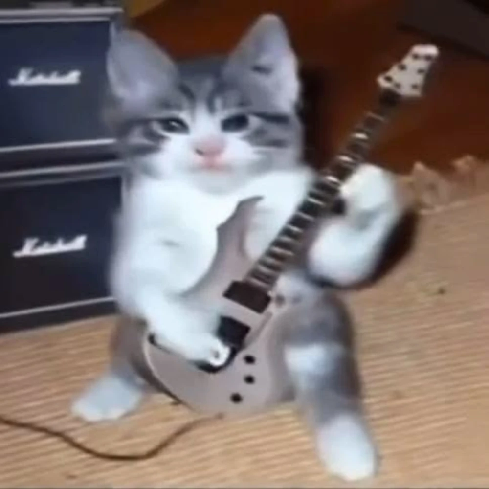 Musicarc