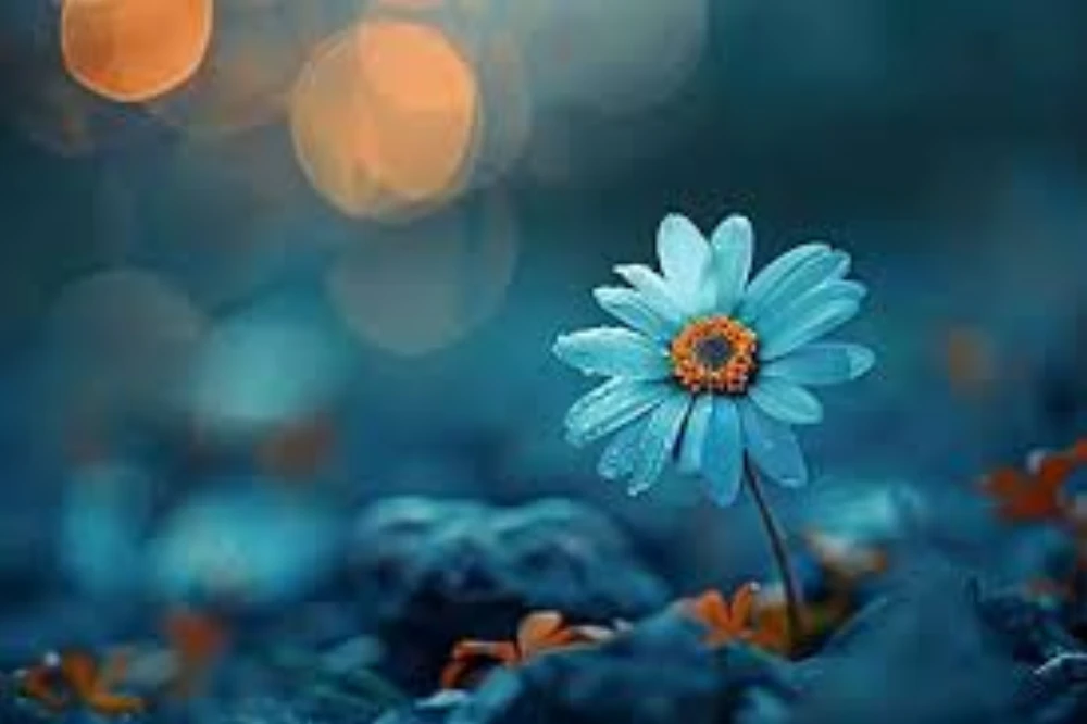 FLOWER