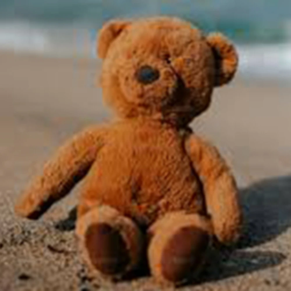 bearo