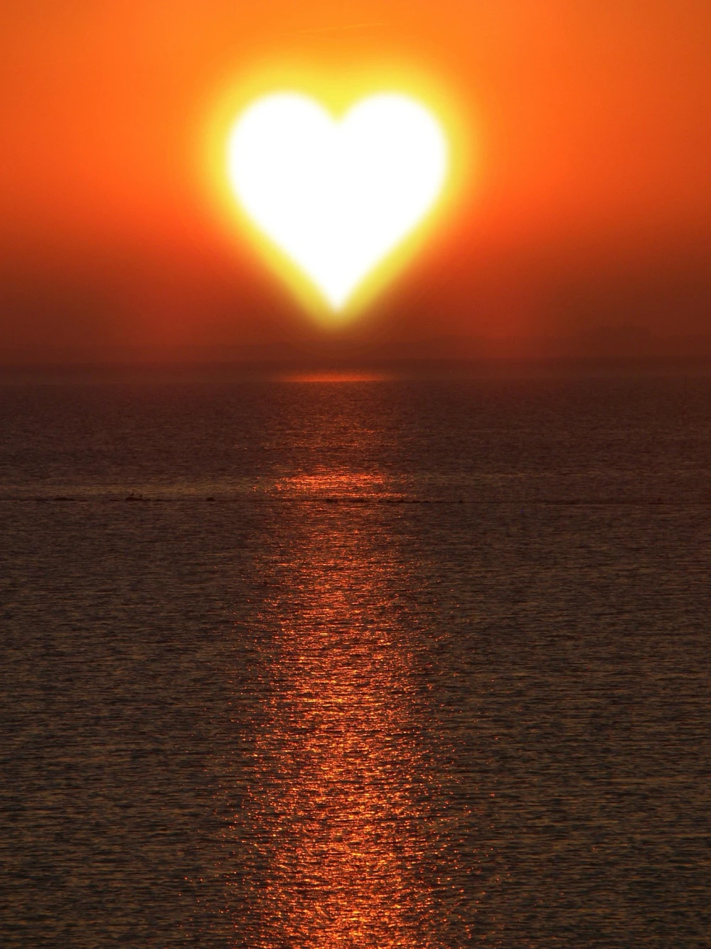 corazolse