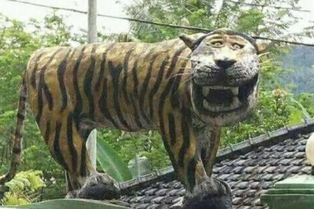 Sumatera Tora🤭