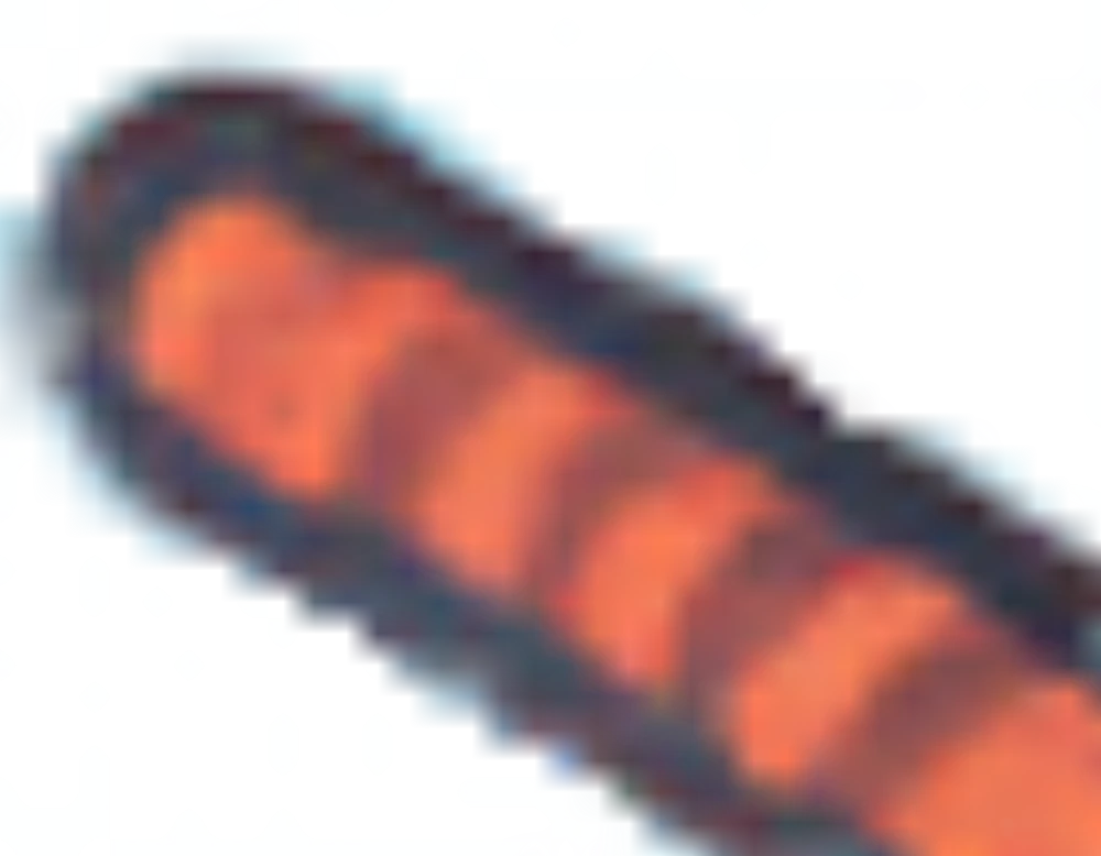 GDFG