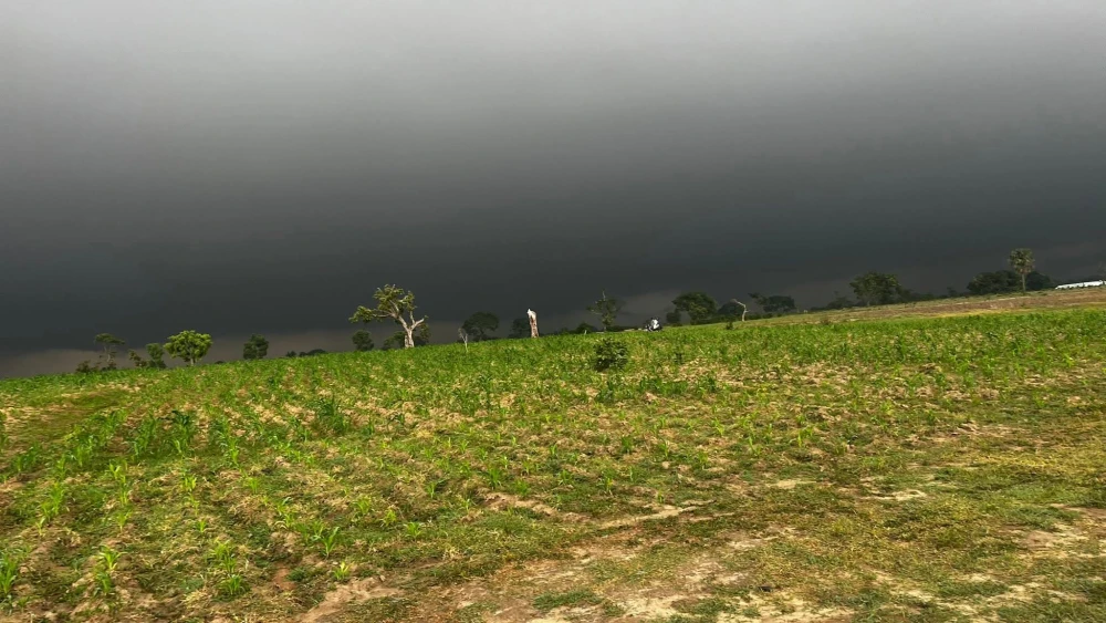 Farming