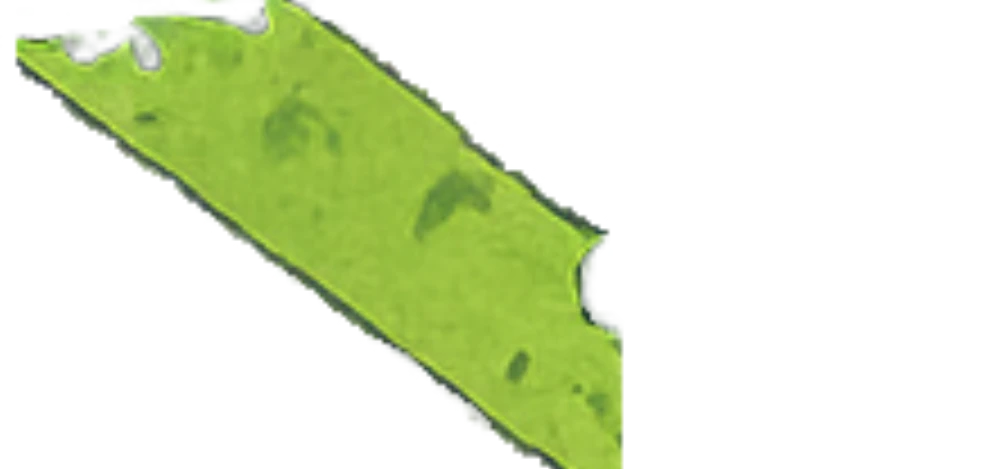 HSDHG