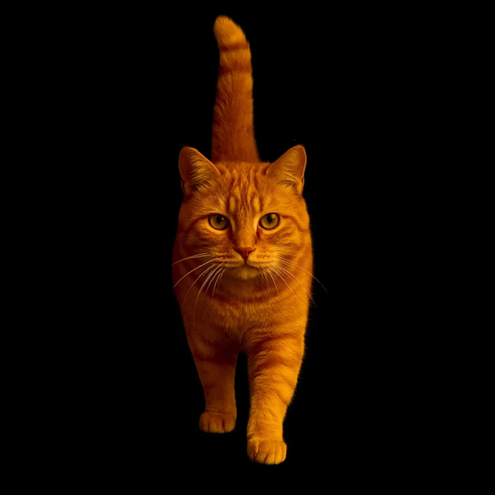 meow