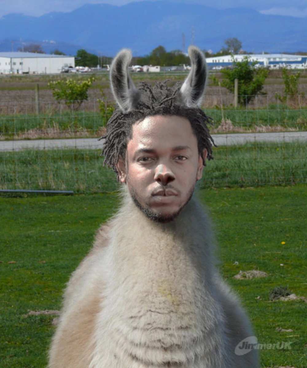 LLama