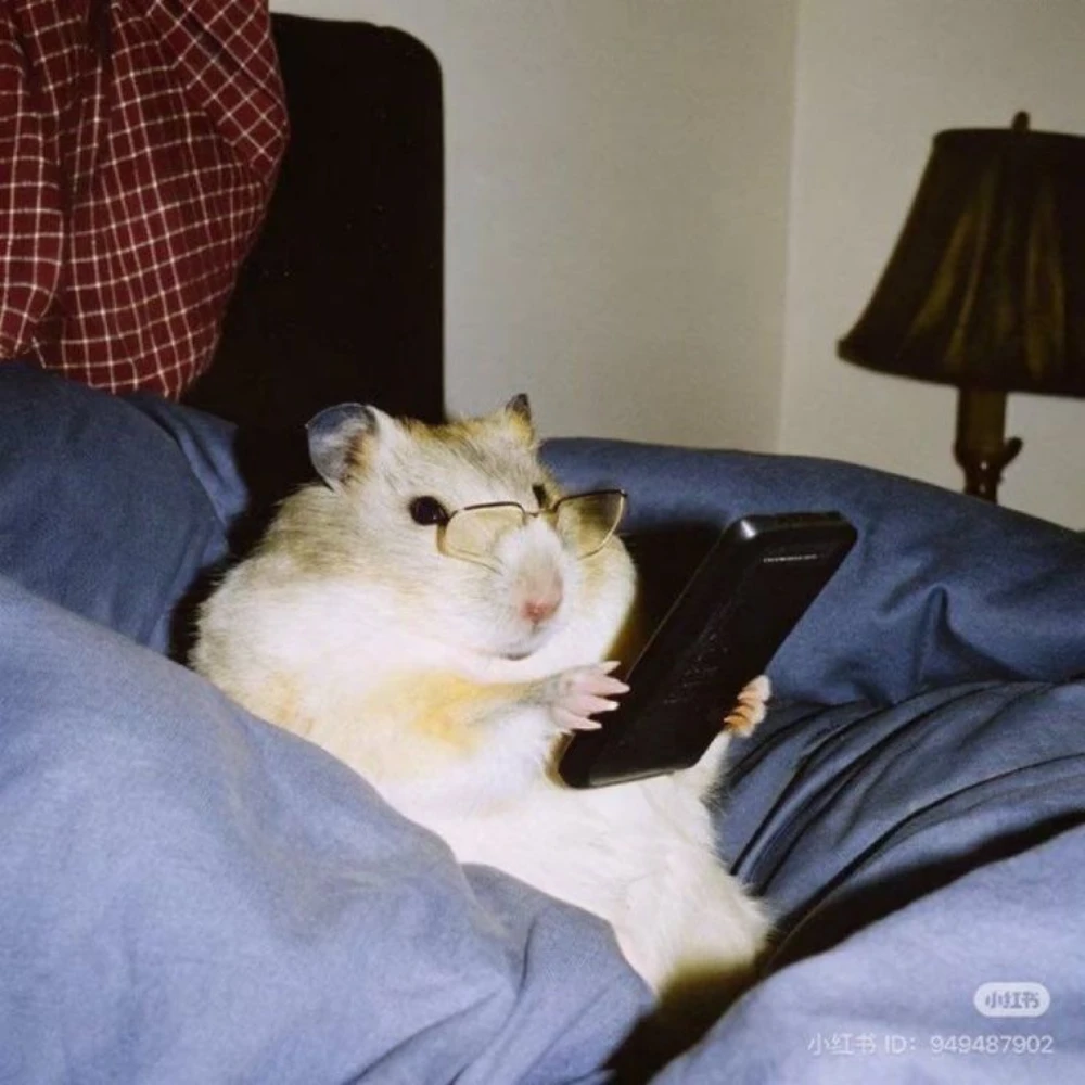 hamsterplayer