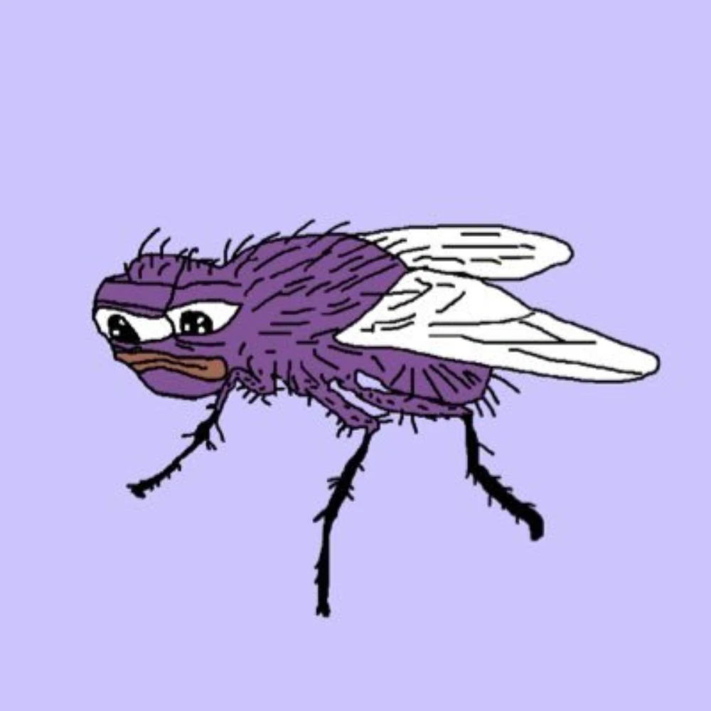 BFNFGN