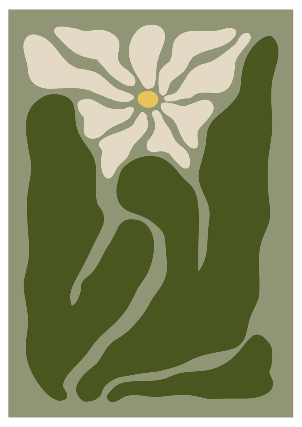 caneolar