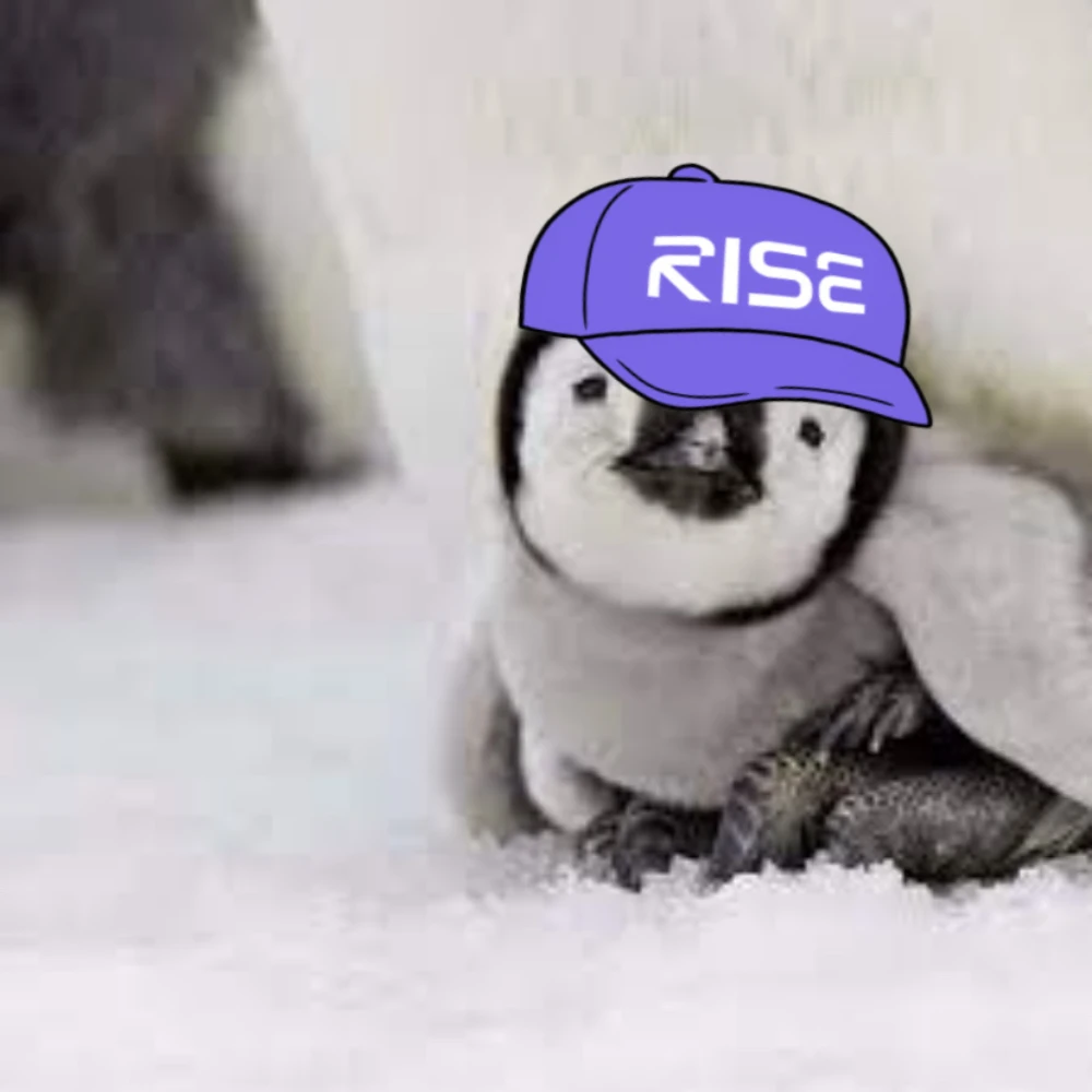 RisePengu