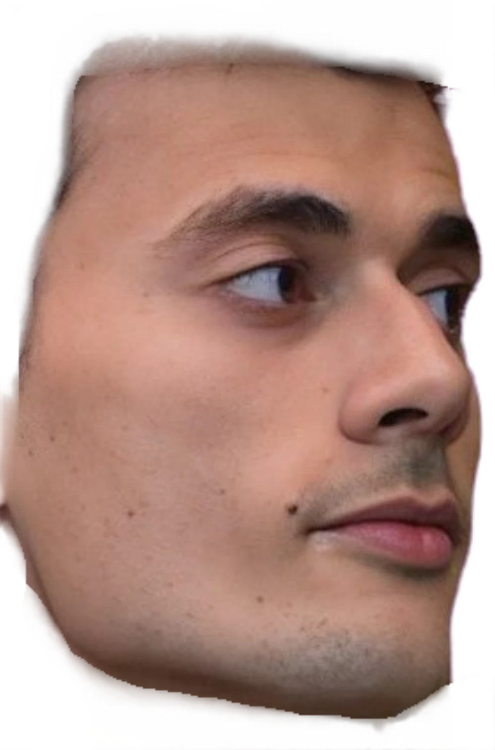 GFSG