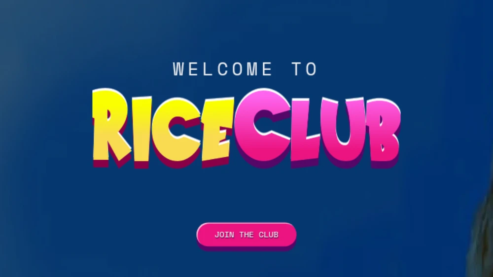 Rise Chain: Blockchain L2 Pertama