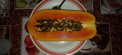 Papaya