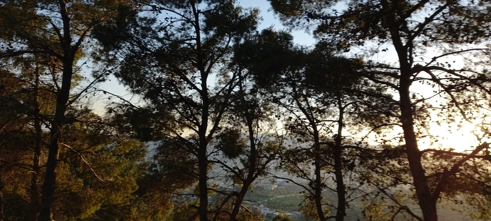 Hiking Trip