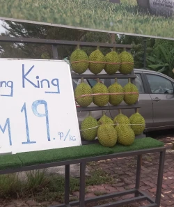 Durian
