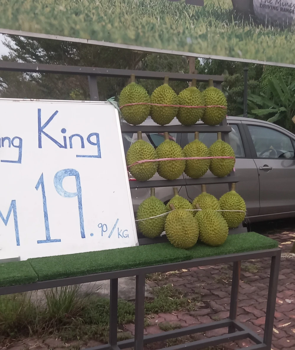Durian