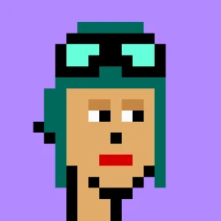 RobinPunks