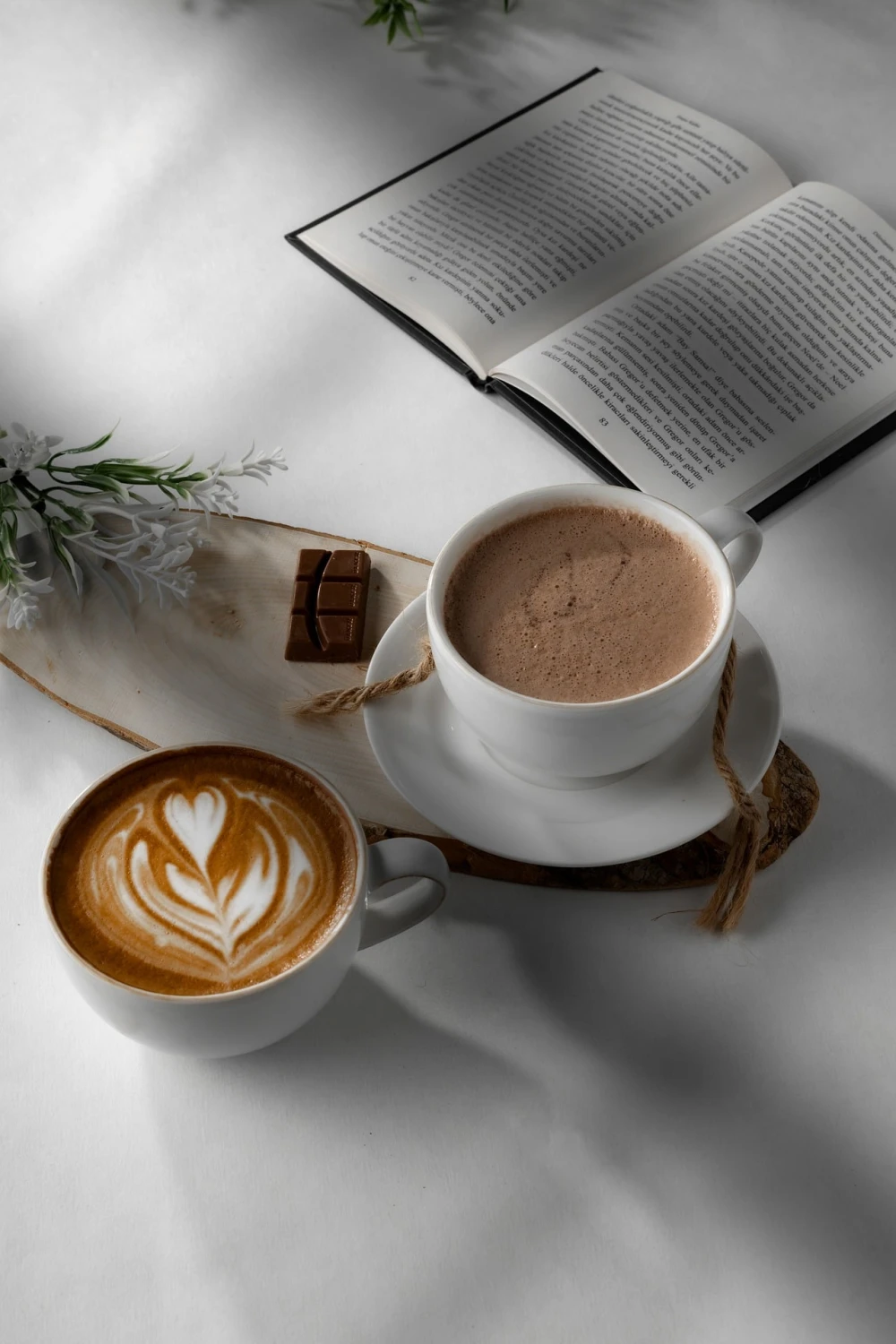 cafeccitto